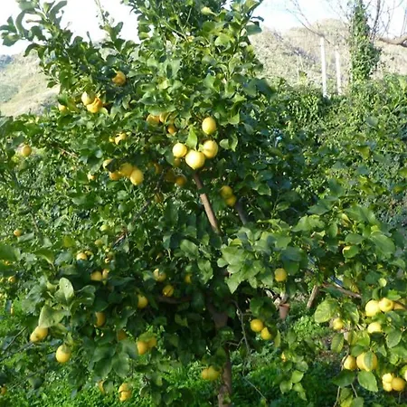 Appartamentino Tipico Nel Centro Corniglia